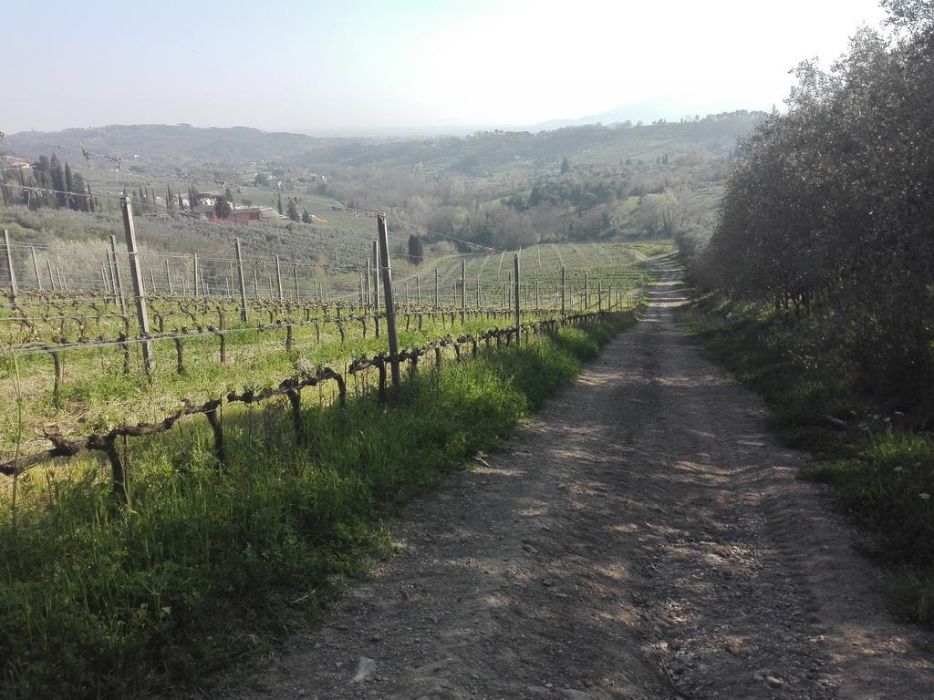 Fattoria Di Fubbiano Villa Collodi Buitenkant foto